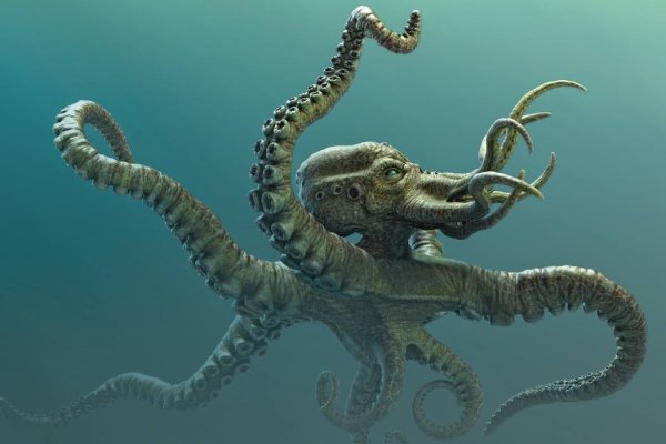 Kraken 19 at