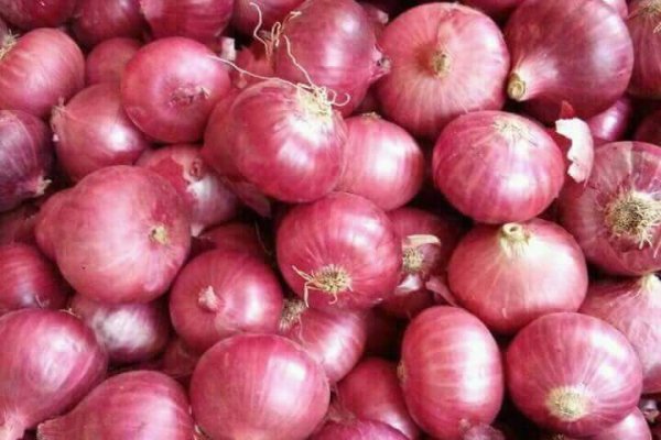 Какая сейчас ссылка на кракен