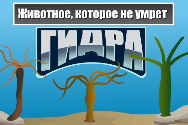 Кракен сайт маркет