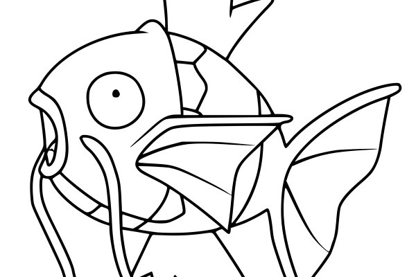 Kraken 24 at