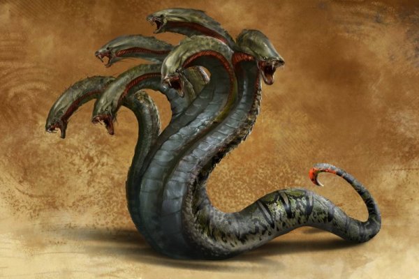 Kraken 6at